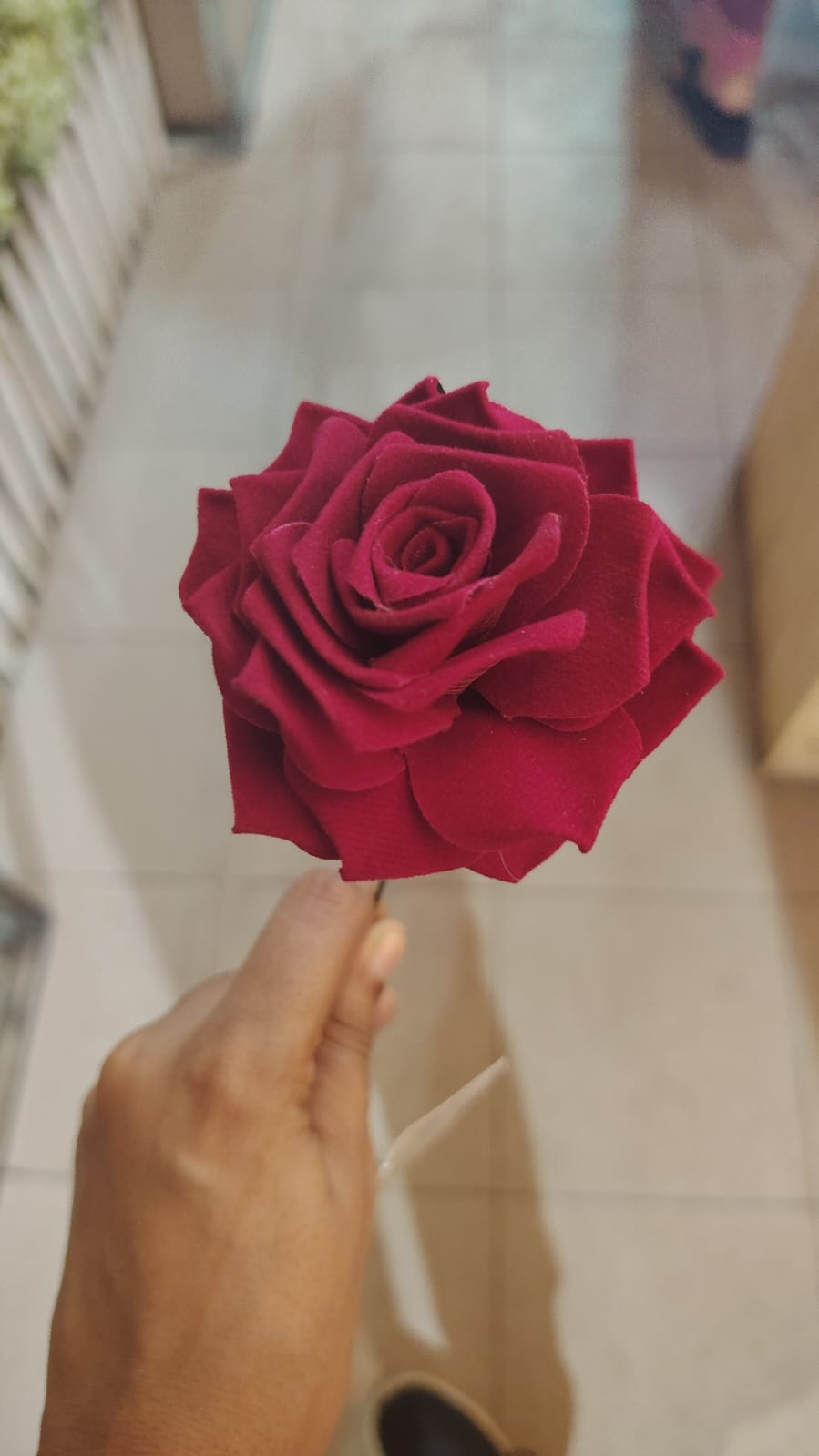single rose