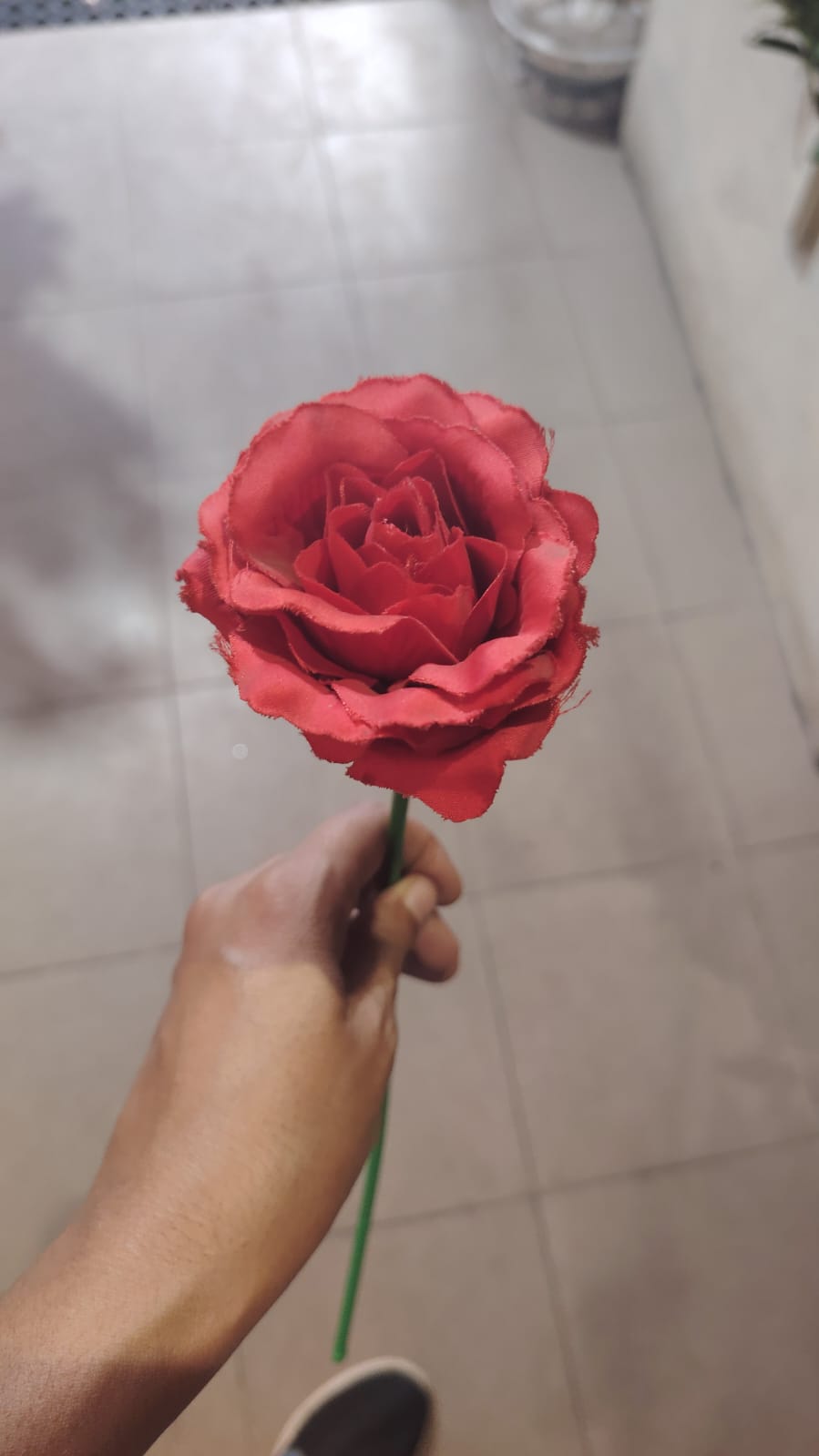 single rose